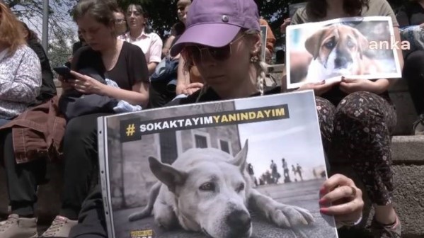 ekran-goruntusu-2024-05-23-195843.jpg