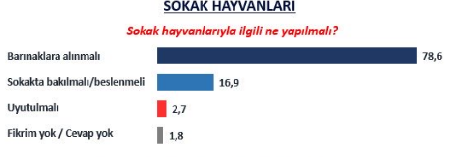 ekran-goruntusu-2024-05-24-232400.png