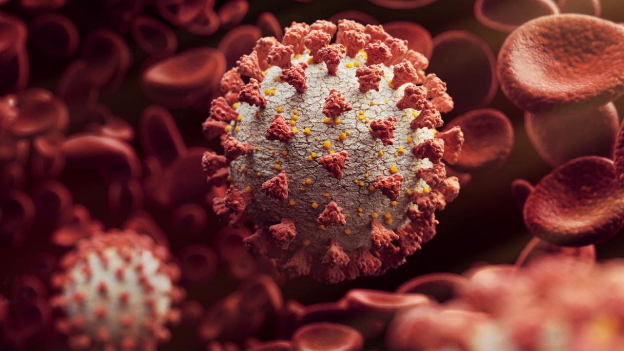 koronavirus-1479981.jpg