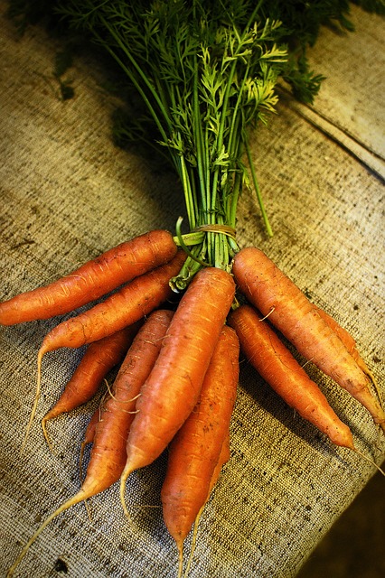 carrot-664741-640.jpg