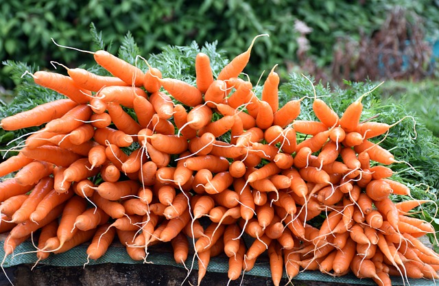 vegetable-1598280-640.jpg
