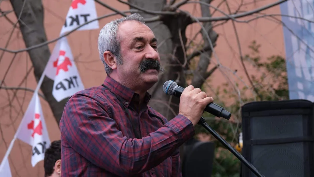 macoglu.webp