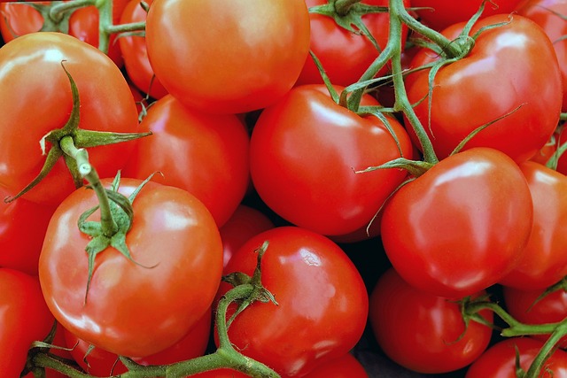 tomatoes-1263086-640.jpg