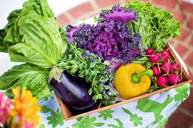 vegetables-790022-640.jpg