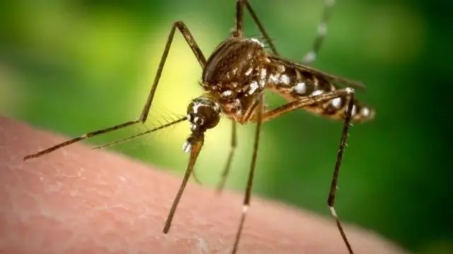 114051530-whatsubject-jpg.webp