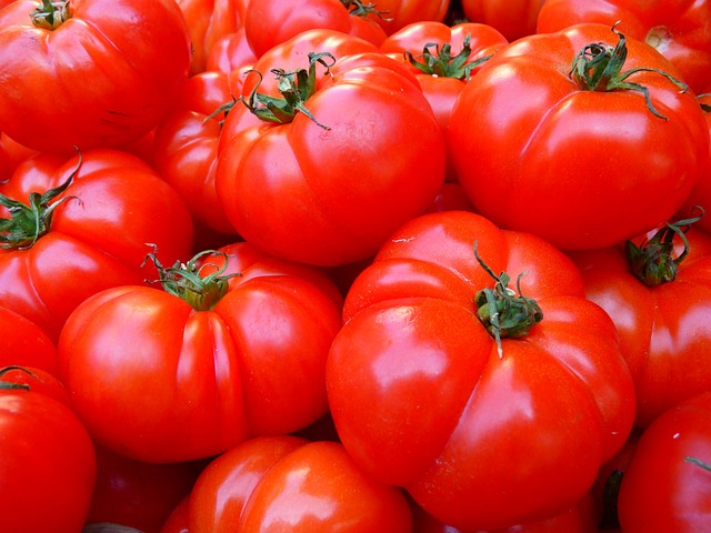 tomatoes-5356-640.jpg