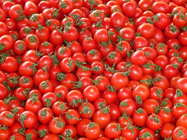 tomatoes-73913-640.jpg