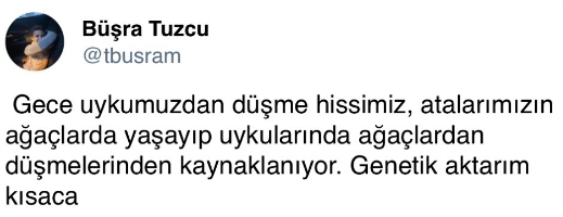 ekran-goruntusu-2024-06-30-100912.png