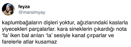 ekran-goruntusu-2024-06-30-100920.png