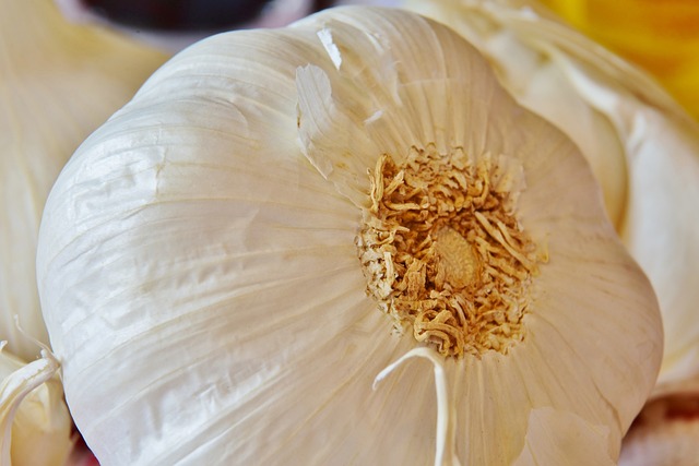 garlic-3617113-640.jpg