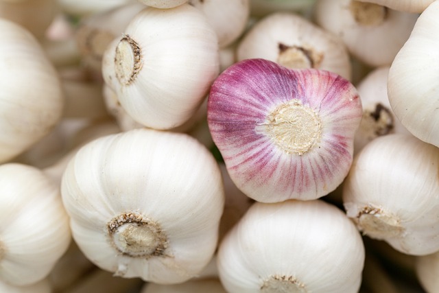 garlic-84691-640.jpg