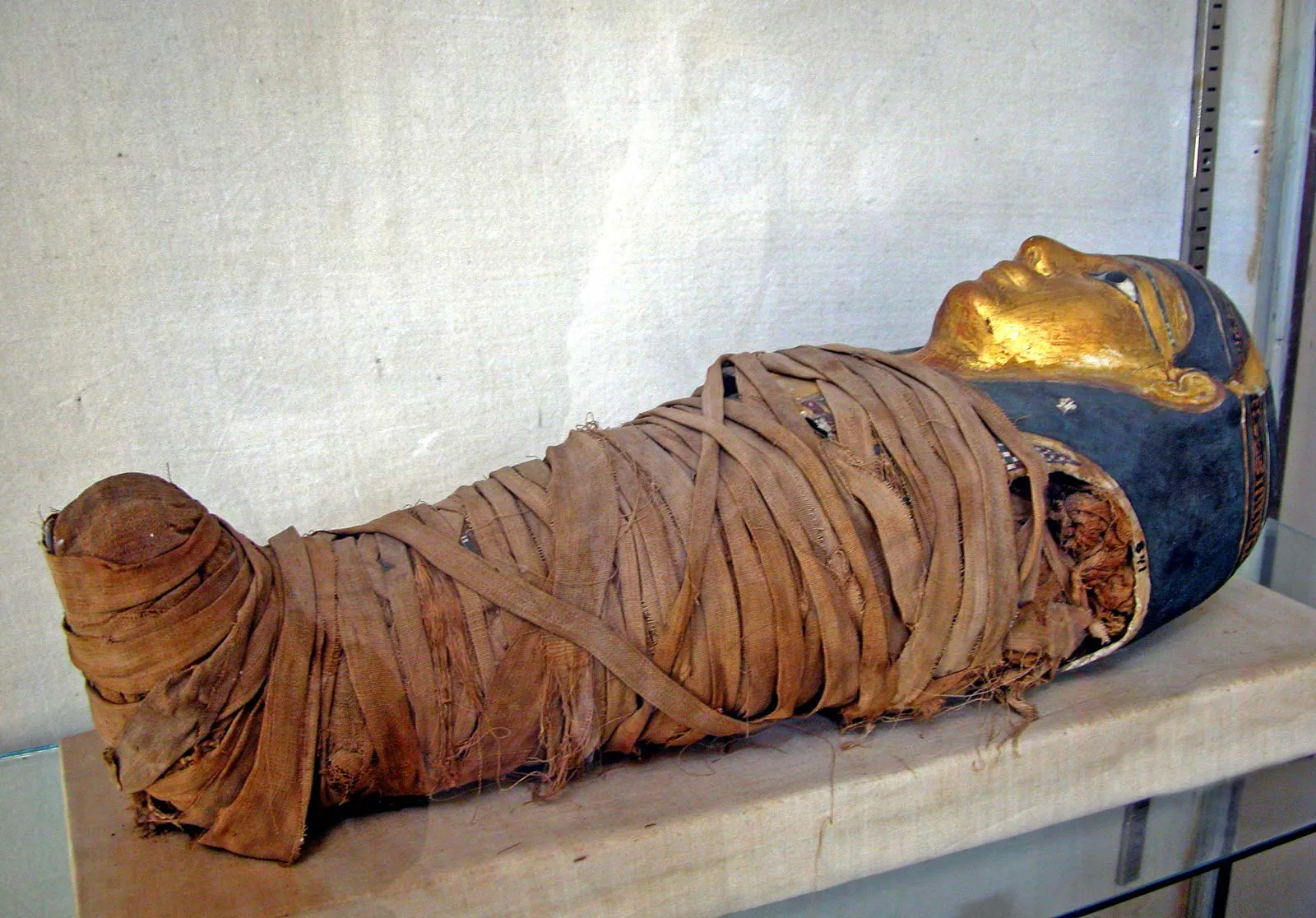 mummy-egyptian-child.webp