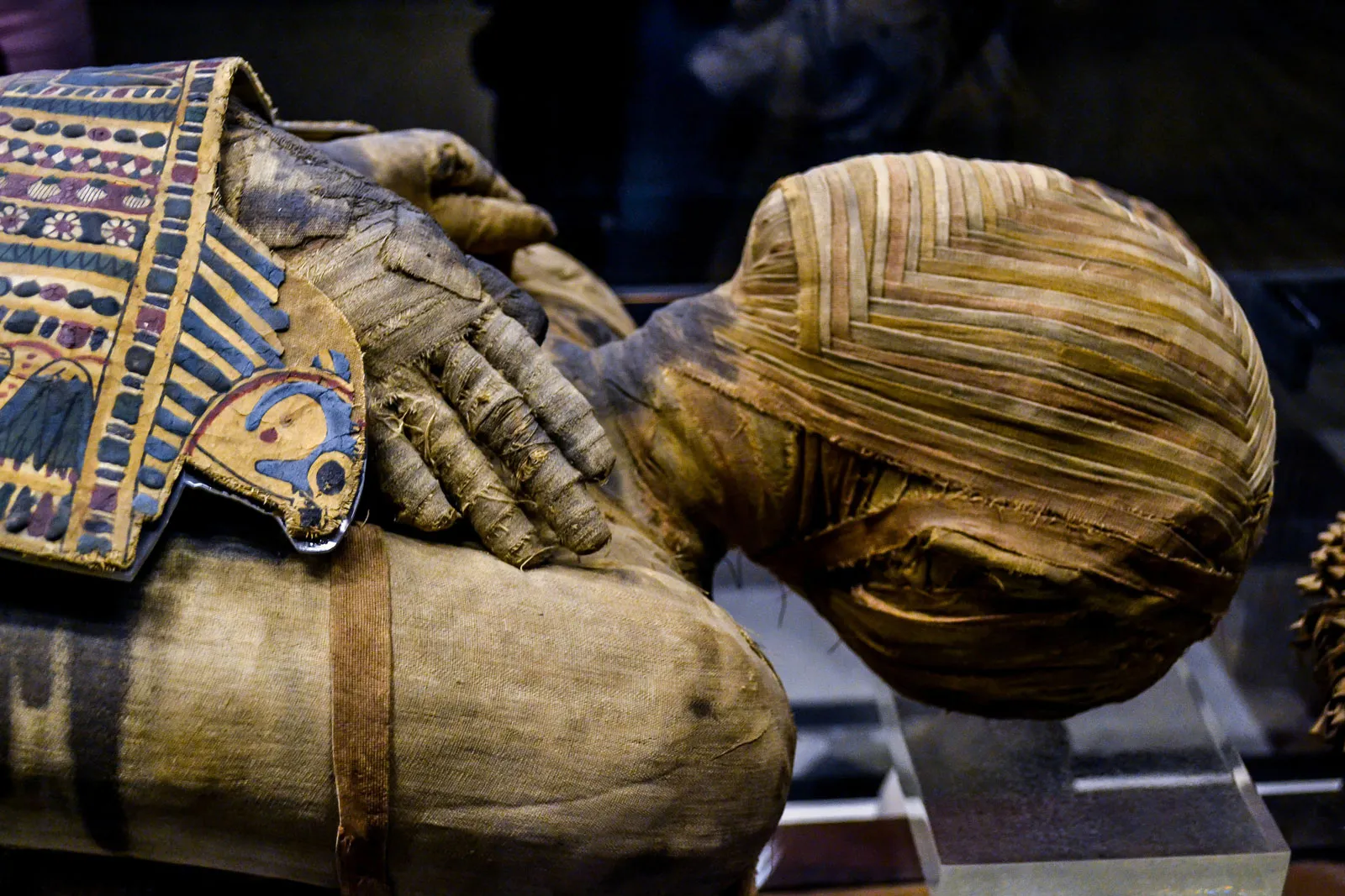 mummy-man-egyptian-ptolemaic-name-collection-musee.webp