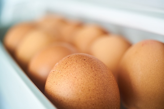 egg-2728995-640.jpg