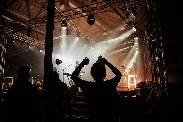 concert-5878452-640.jpg