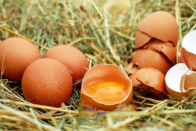 eggs-1510449-640-001.jpg