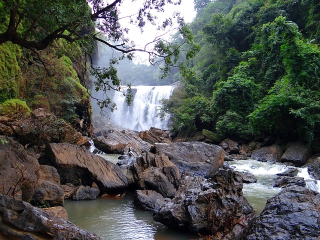 sathodi-falls-453419-640.jpg