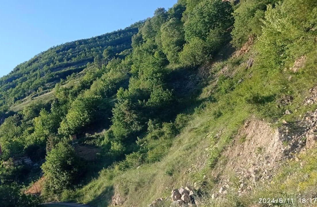 ku1.jpg