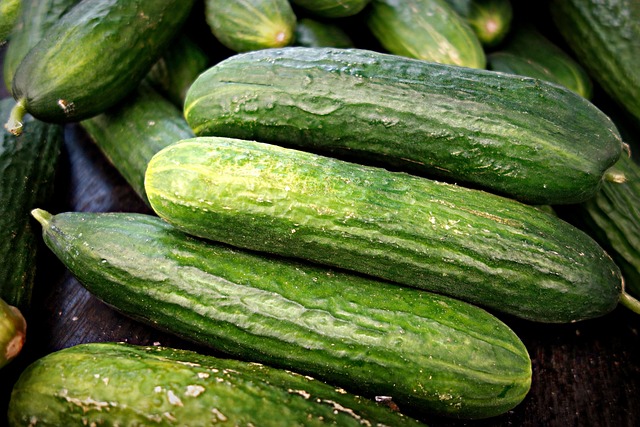 cucumber-1522921-640.jpg