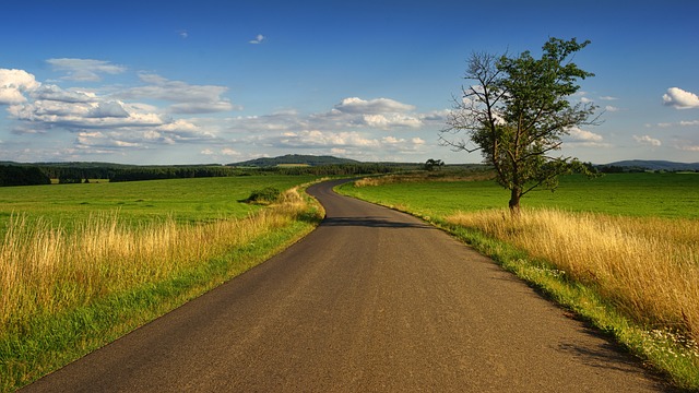 landscape-3127859-640.jpg