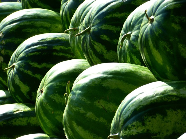melons-197025-640.jpg