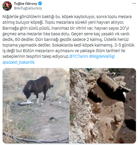 ekran-goruntusu-2024-08-06-200908.png