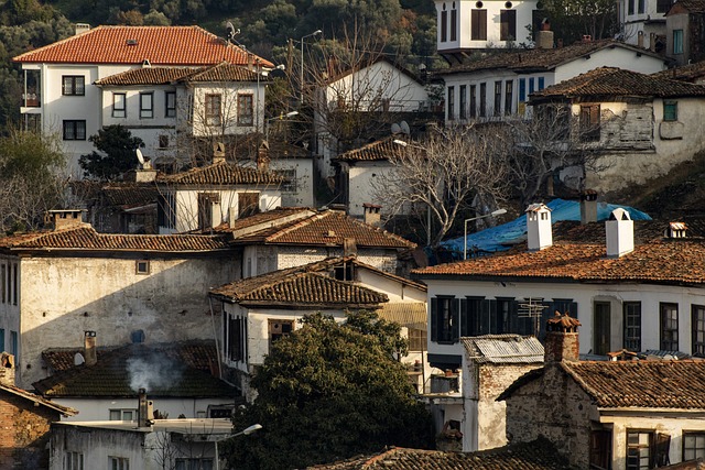 sirince-3891309-640.jpg