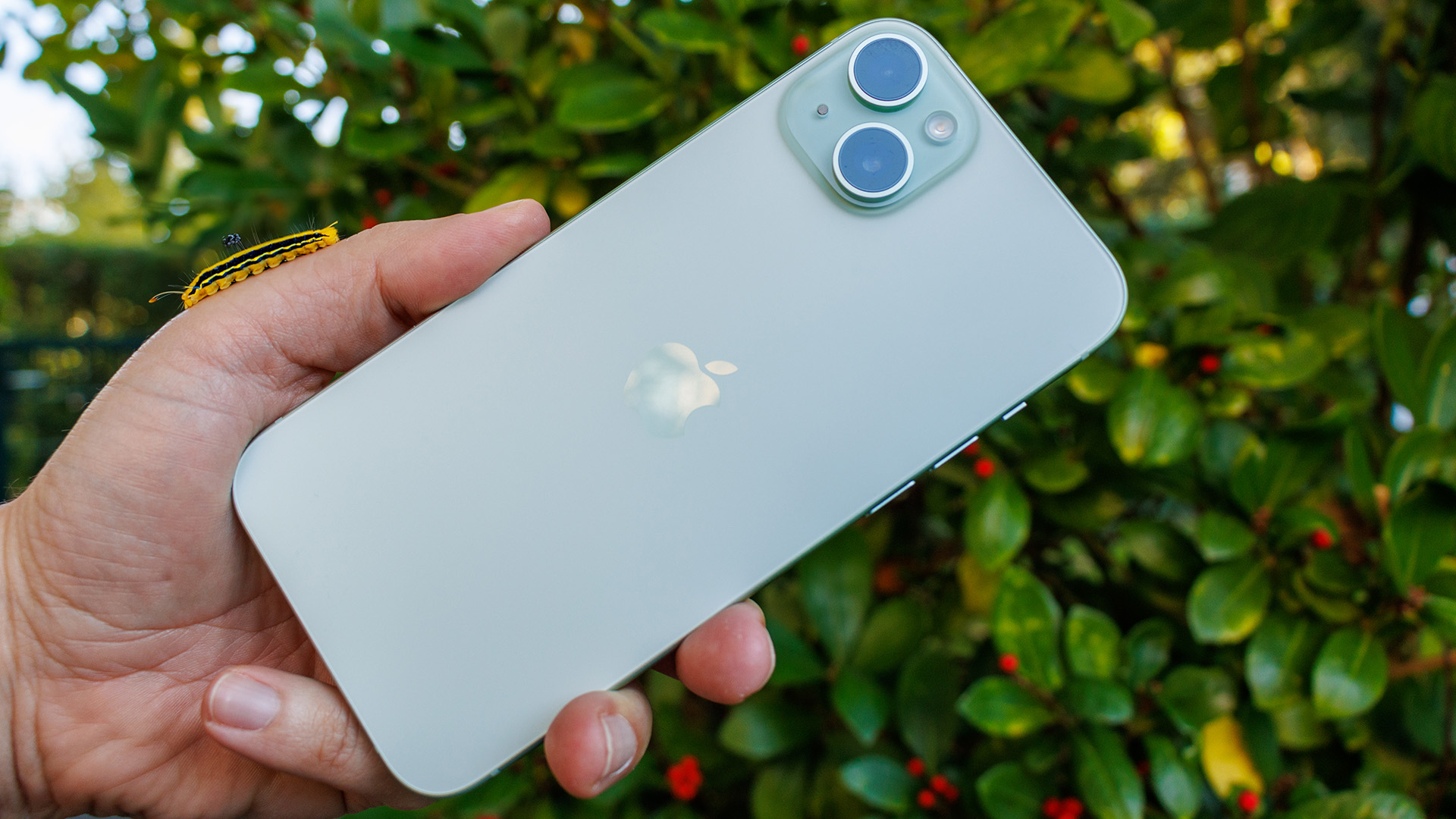bild-apple-iphone-15-plus-33.jpg