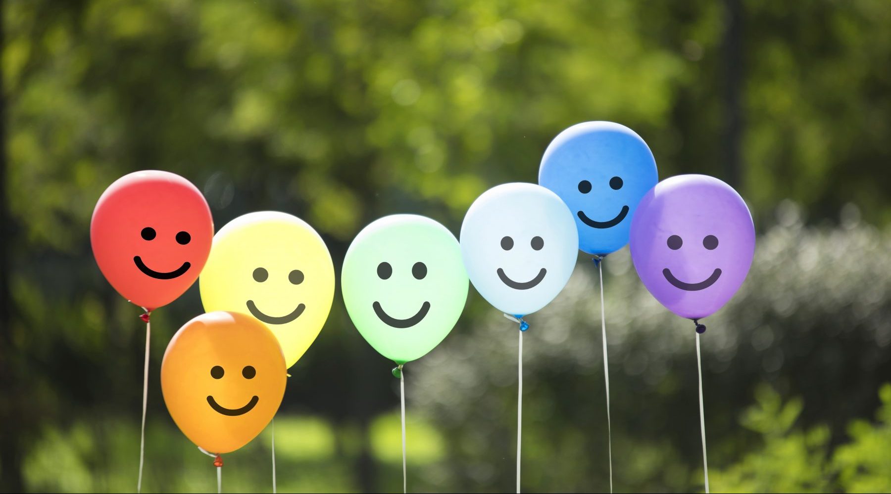 istock-1125268244-e1687249366879.jpg