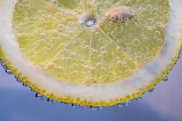 slice-of-lemon-2135548-640.jpg
