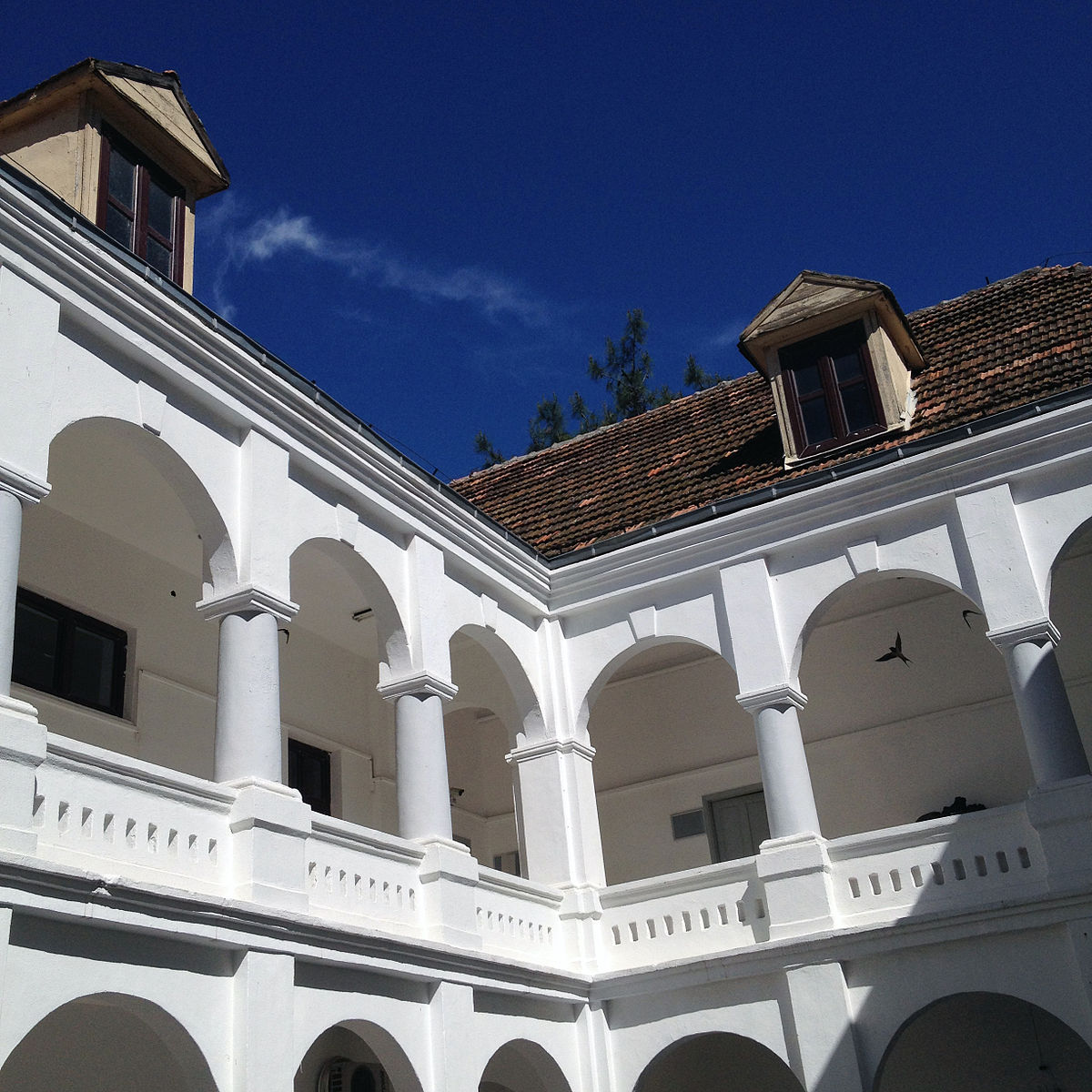 adana-fen-lisesi.jpg