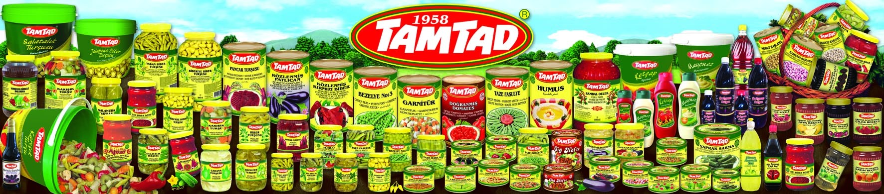 tamtad-cover.jpeg