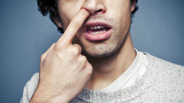 150210124301-nose-picking-624x351-bbc-nocredit.jpg
