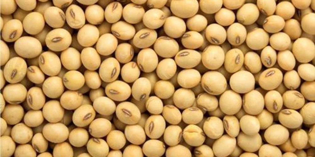 dokme-bakliyat-soya-fasulyesi-500-gr-72855657.webp