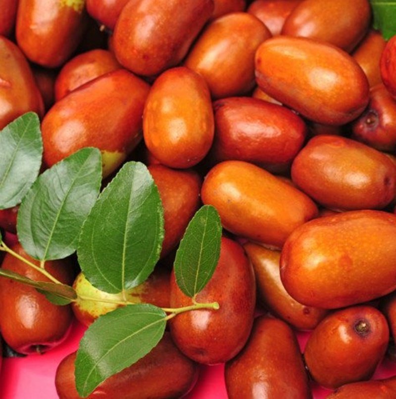 2-yas-ufak-meyveli-hunnap-fidani-1.jpg