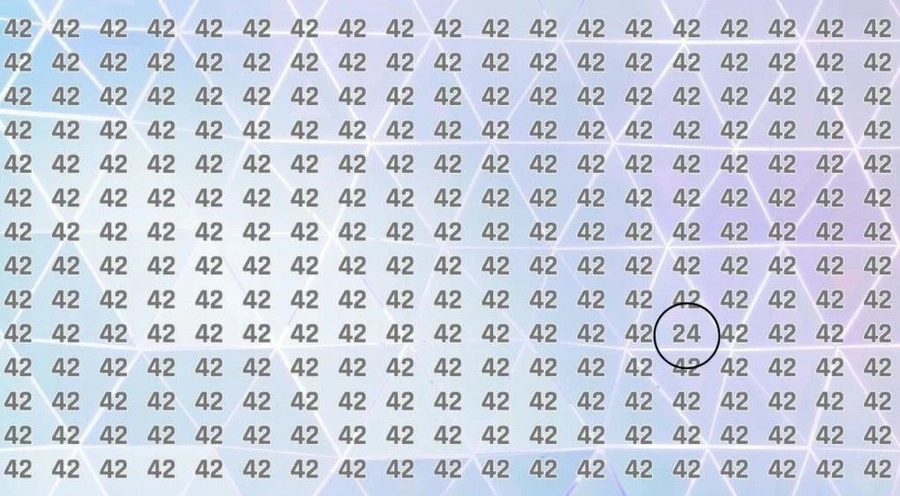 e2-6ut1.webp