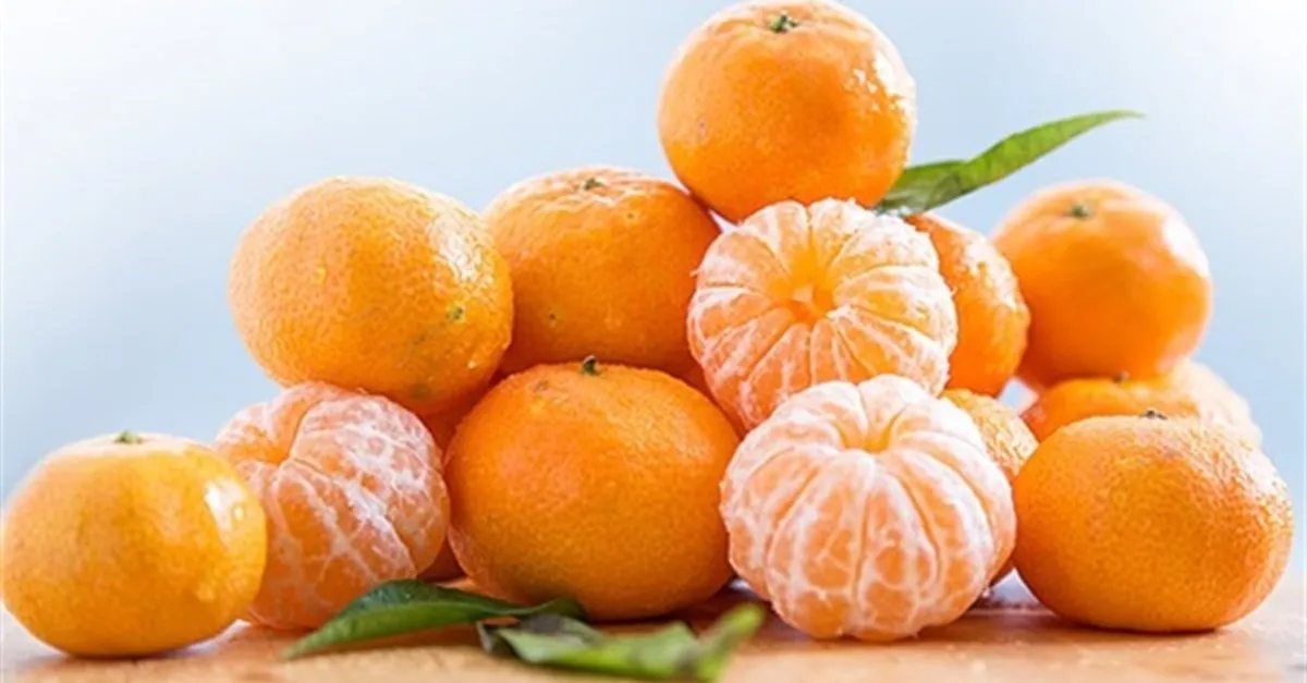 1200x627-mandalinanin-faydalari-nelerdir-ne-ise-yarar-mandalina-ishale-iyi-gelir-mi-1589364135521.webp