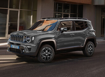 340x250-renegade.jpg