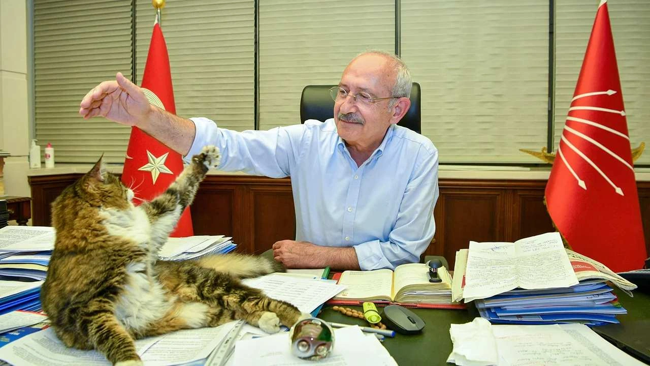 kilicdaroglundan-chpnin-maskotu-serolu-paylasim-iktidara-gelince-yas-mamayi-luks-olmaktan-cikaracagim-nerg.webp