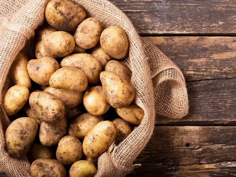 patates-nasil-temizlenir-6d16aa8a-14c2-444d-8cde-2221fbe9a41e.webp