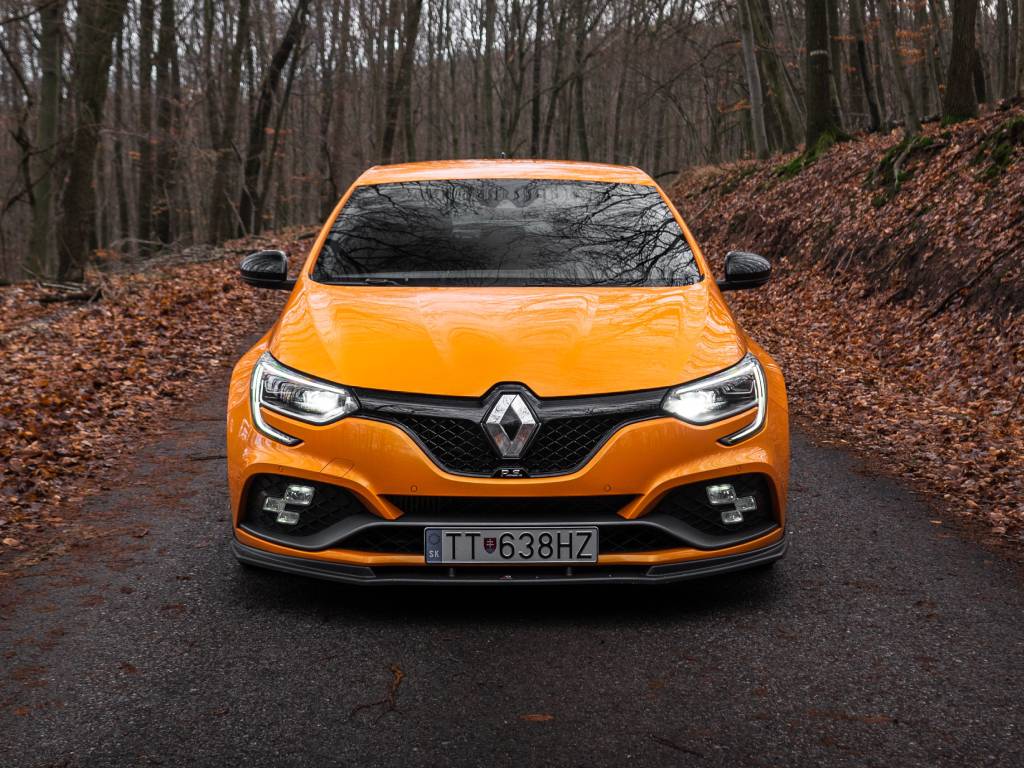 renault-1.jpg
