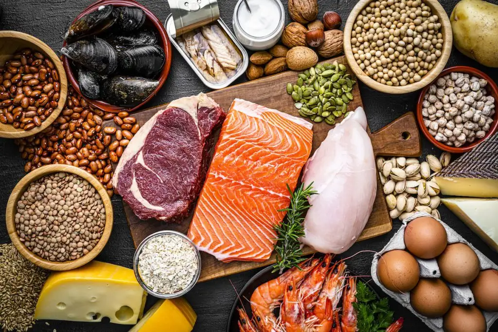 ssblog-proteinneeds-gettyimages-1457411409-1024x683.webp