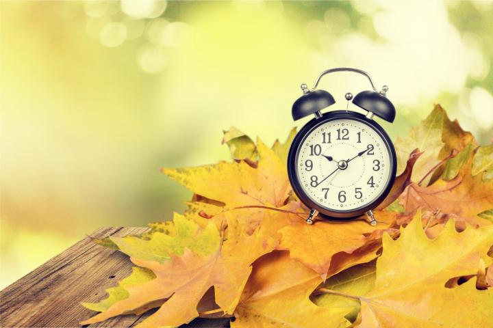 shutterstock-320805509-full-width.jpg