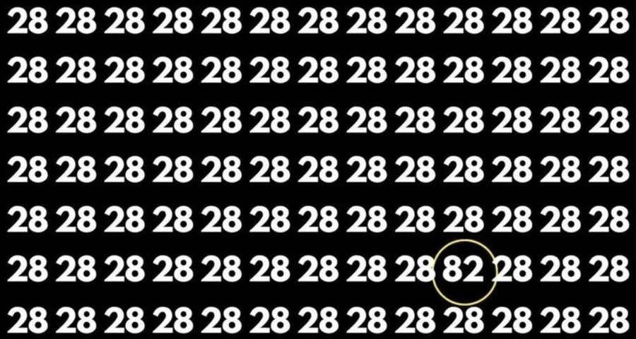 2-001.webp