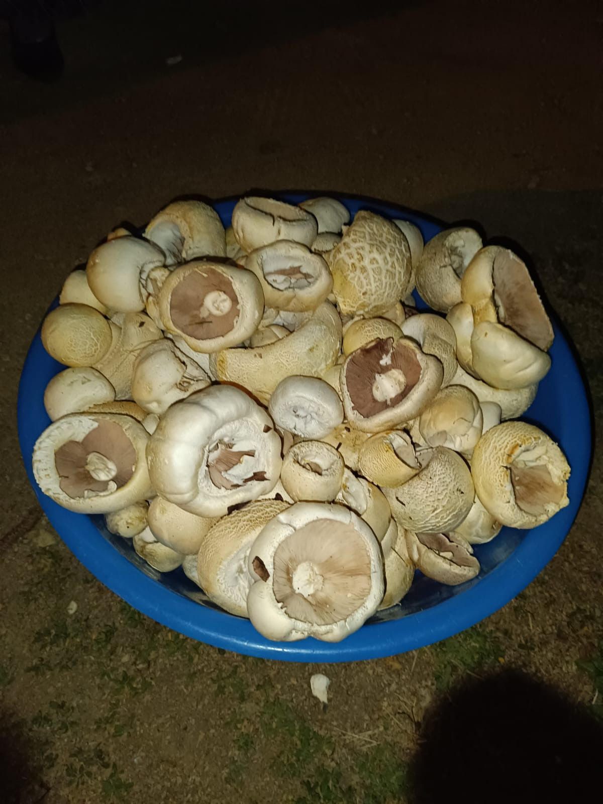 unnamed-1721705905.jpg