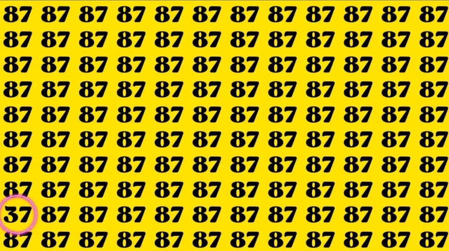 2-001.webp