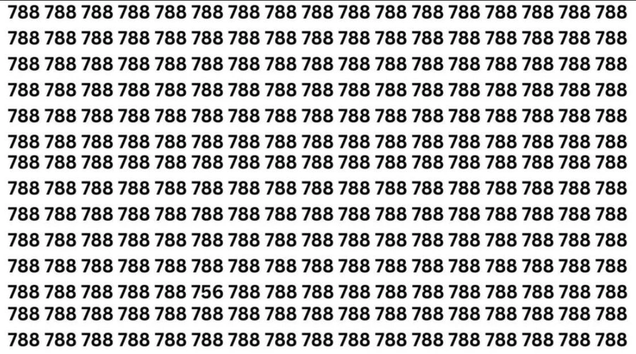 a1-zvna.webp