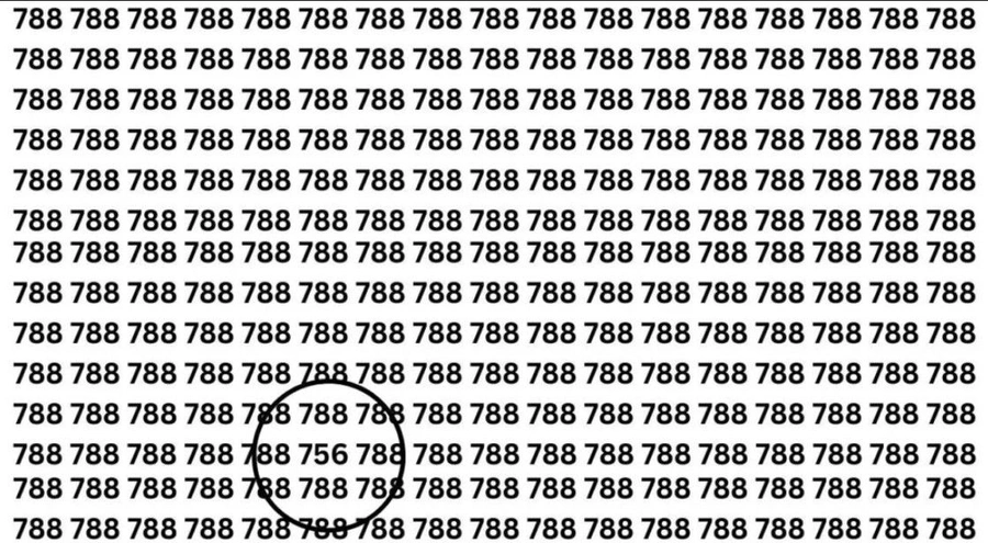a2-7i5c.webp