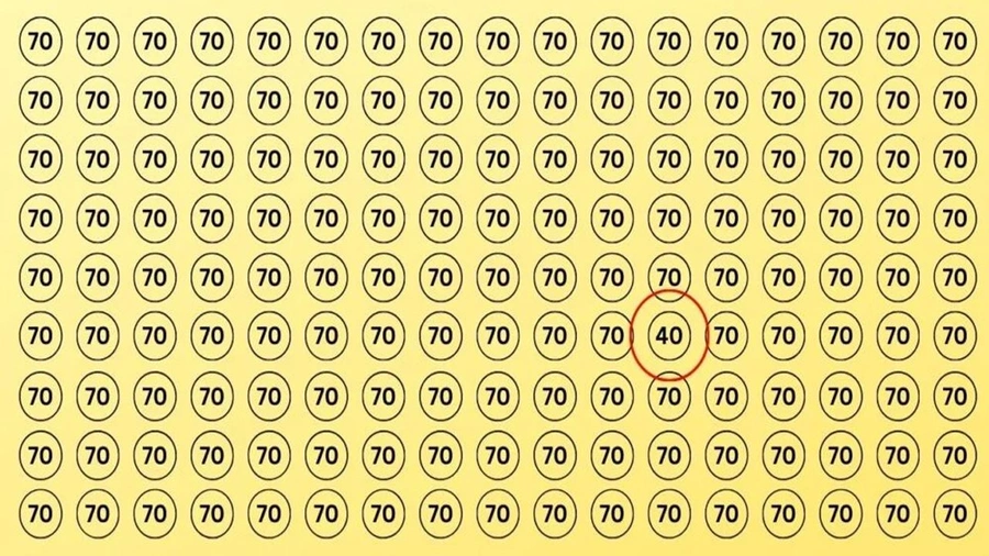 2.webp