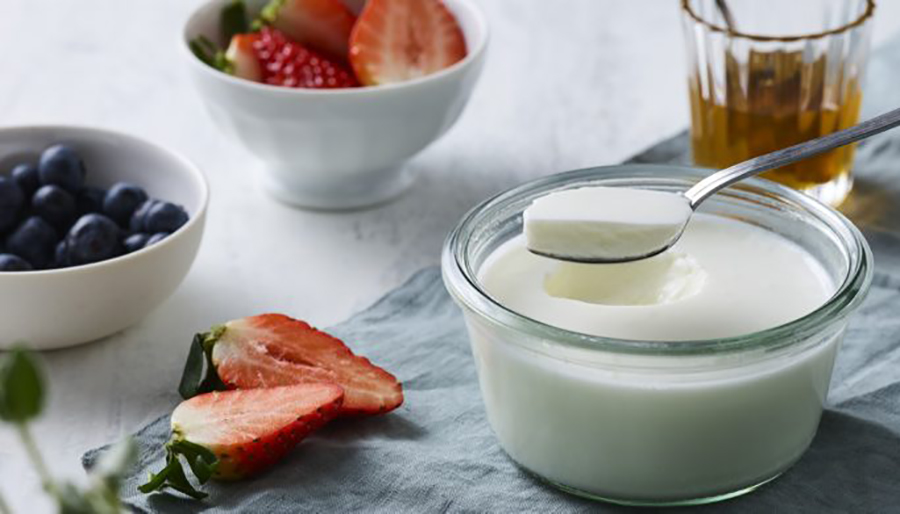 ch-set-yogurt-general-3-900x514.jpg